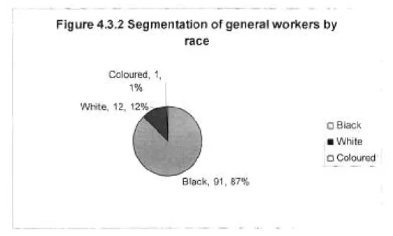 FIGURE 4.3.1. Segmentation of the sample population according to gender at SAH in July 2007.