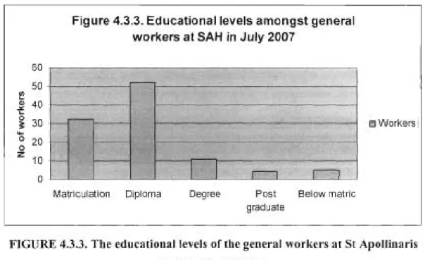 Figure 4.3.3. Educational levels amongst general workers at SAH in July 2007