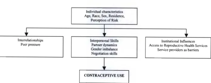 Figure  2.1  below  summanses  the  proposed  conceptual  framework  that  will  be  investigated  in  this study: 