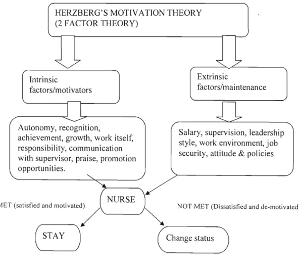 Figure 1:  The two-factor theory motivation - maintenance theory (adapted from 