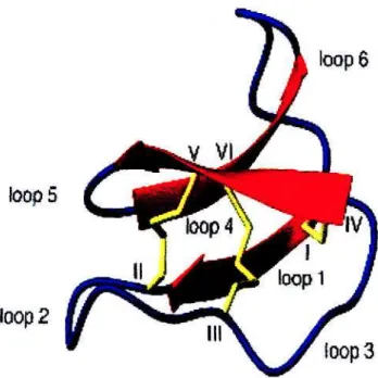 FIGURE 2.1: Three-dimensional structure of the cyclotide kalata Bl  Kalata-Bl sequencing: 