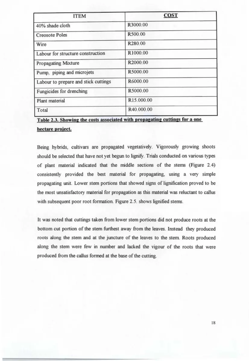 Table 2.3. Showing the costs associated with propagating cuttings for a one hectare project.