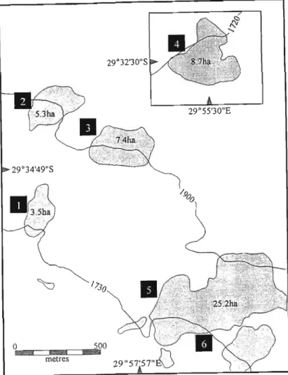 Fig. 1. Study sites selected in the KwaZulu-Natal midlands, South Africa. Numbers one to six are the locations of the transect-sets across the Afromontane forest-grassland ecotone