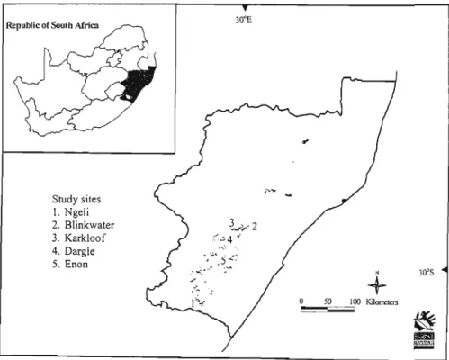 Figure 1. Location of study sites in KwaZulu-NataI. South Africa. 1- Ngeli. 2 - Blinkwater, 3 - Karkloof.