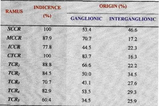 Table 13: Summary ofthe origin and incidence ofcardiac sympathetic nerves