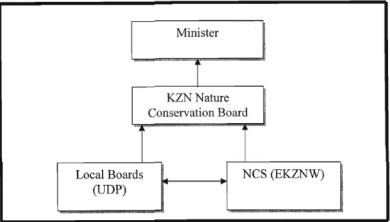 Figure 1: The Links between Local Boards, KZNNC Board and EKZNW