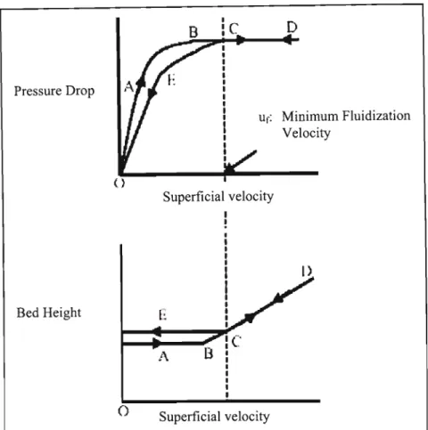Figure 5.2: Graph of Pressure drop and Bed Height versus Superficial Velocity (Adapted from [Internet] S4)