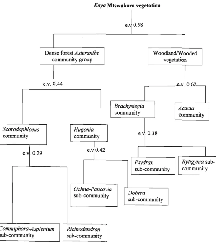 Fig.  2.2:  The  hierarchical  classification  dendrogram,  showing the  vegetation  types  identified  in  kaya  Mtswakara and the eigenvalues (e.v.) associated with the divisions 
