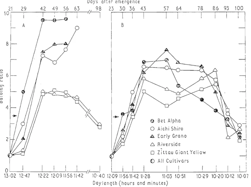 Figure 2.5 Reversibility and bulbing ratio of 5 onion cultivars grown under long-day