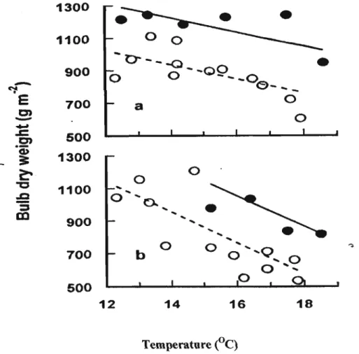 Figure 2.6 Relationship between crop bulb dry weight at harvest maturity and mean temperature from transplanting to harvest maturity at elevated·