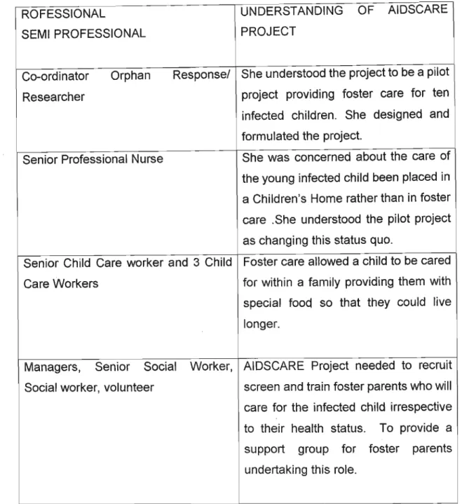 Table 6: Understanding of the AIDSCARE Project