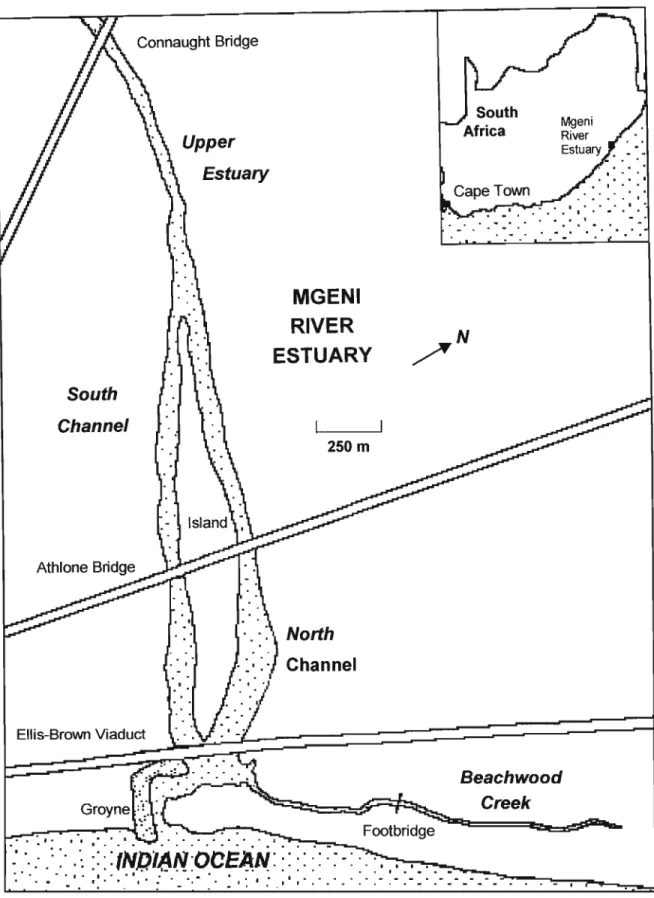 Fig 2.1: Location of the Study Area. (Adapted from Cooper, 1986.)