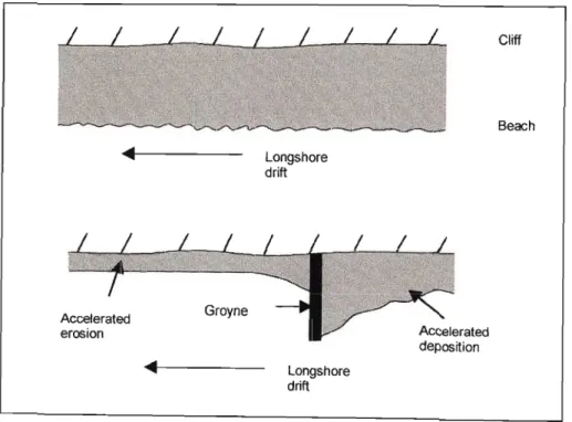 Fig 4.1: Diagrammatic illustration of the effects of groyne construction on sedimentation on a beach