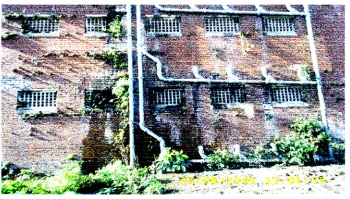 Figure 2: - The external walls of an ablution block with leaking wastewater pipes and overgrown vegetation.