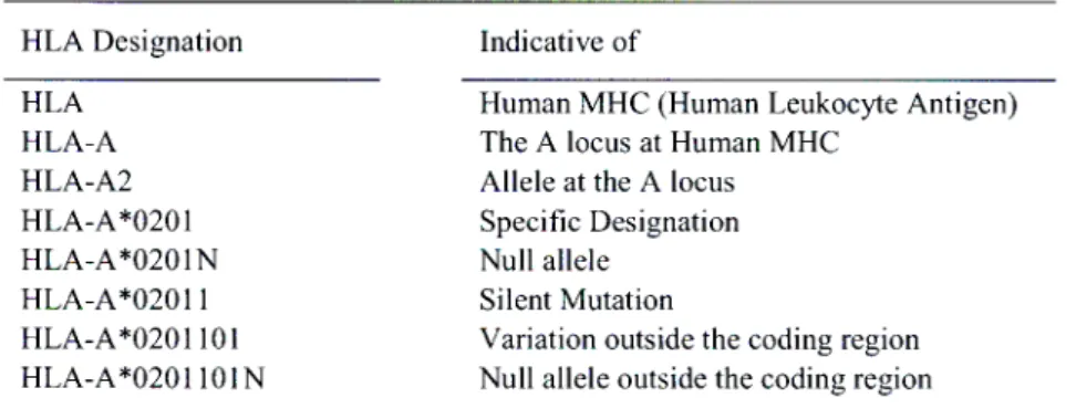 Table 1.1.3 A Simplification of HLA Nomenclature.