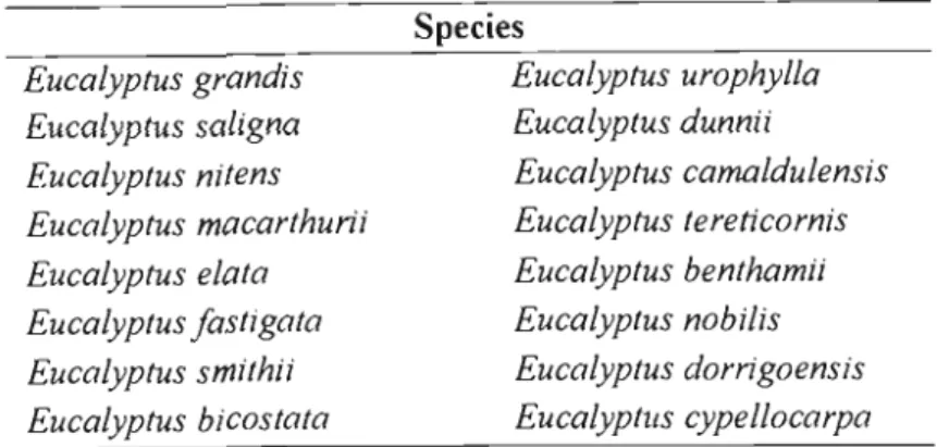 Table 1.3  List  of  Eucalyptus  species  currently  being  planted  and  tested in South Africa by Mondi Forests  (Anon,  1999) 