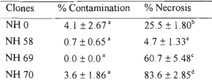 Table 2.6. The effect of protocol 5 on contamination and necrosis of four clones of  E