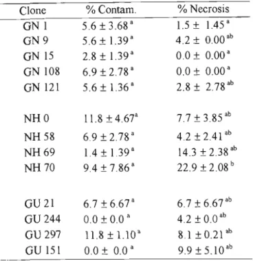 Table 2.8 The effect of protocol 6  on  contamination and necrosis  of nodal explants from  five  clones  of  E