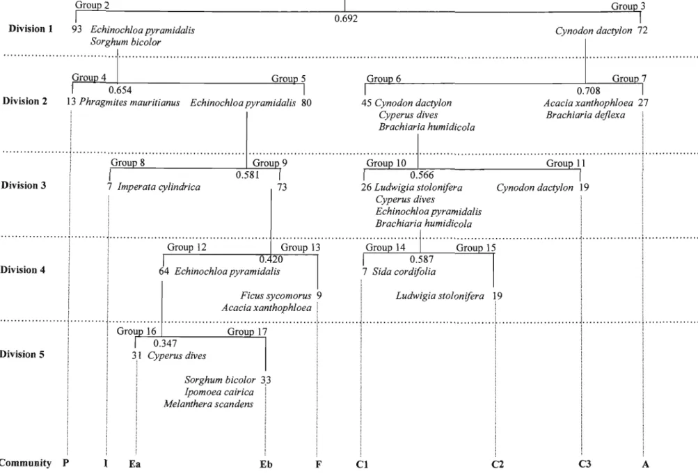 Figure 4.2 TWINSPAN dendrogram illustrating the hierarchical arrangement of plant community types (see text for full plant community names).