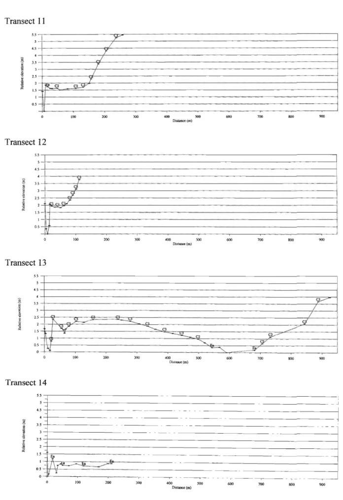 Figure 4.10 Transects 11 to 14 showing topographic profiles and distribution of plant communities