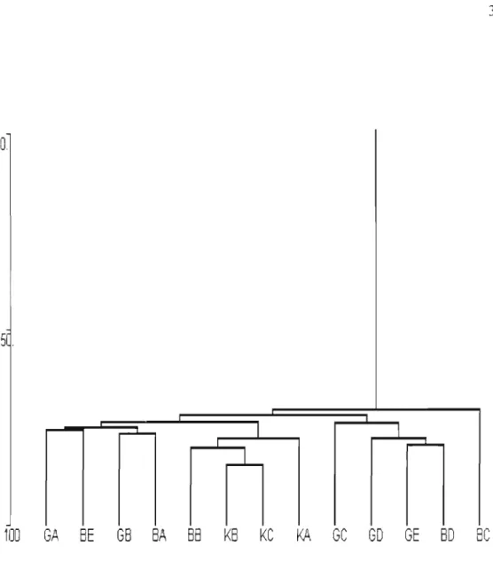 Fig. 2. Dendrogram showing similarity of forests to each other; using a Bray-Curtis similarity measure and group average linkage
