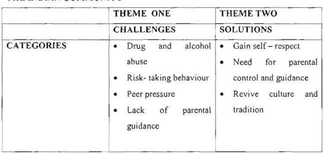 TABLE 3: THEMES AND CATEGORIES REGARDING HIV AND AIDS IN THE INDIAN COMMUNITY