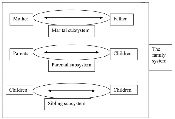 Figure 1: The family subsystems (Sanders, 2004) 