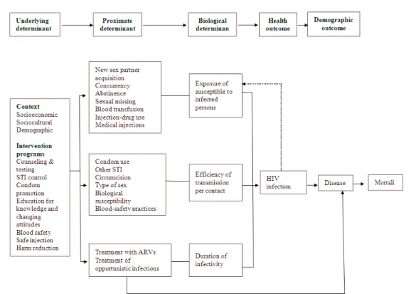Figure 1: Proximate-determinants theoretical framework for factors that affect the transmission of HIV/AIDS