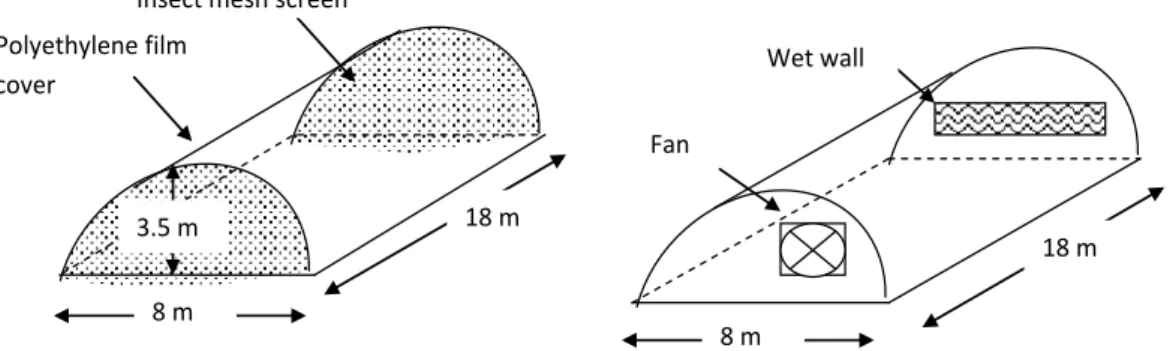 Figure 3.1  Schematic diagrams of the greenhouse tunnels. 