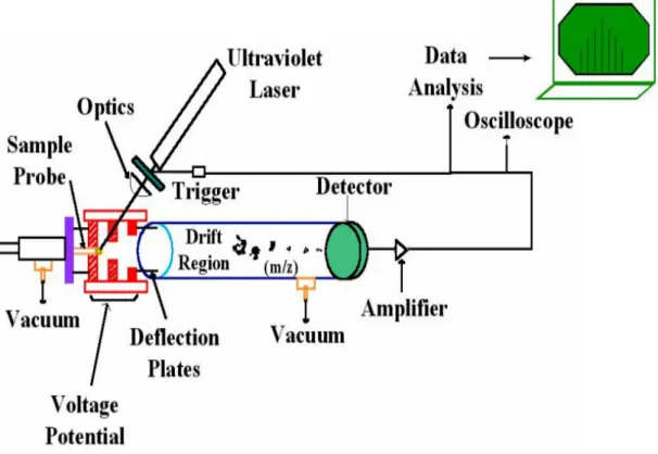 Figure 2.4.  Schematic representation of the components of mass spectrometry (USM, 2012)