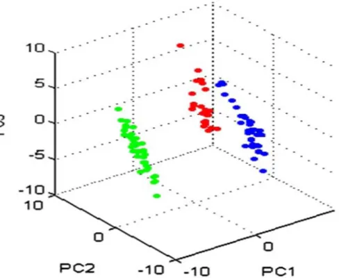 Figure 5.2 Three di mensional pr incipal c omponent a nalysis ( PCA) de rived f rom M SP’s of   MTB ( green), M DR-TB ( red) a nd X DR-TB ( blue)  isolates using  Biotyper 3.0 s oftware