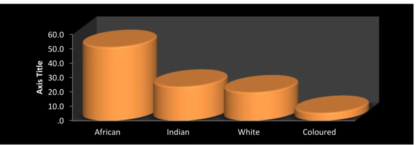 Figure 12: Race distribution, source SPSS 