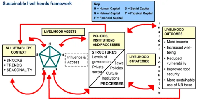 Figure 2.1: The Sustainable Livelihoods Framework   Source: Scoones (1998 cited in Timmermans, 2004: 4)  
