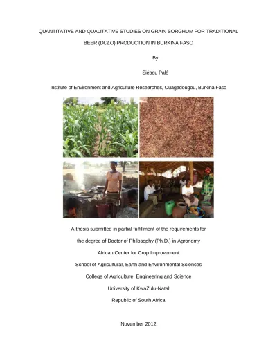 Quantitative and qualitative studies on grain sorghum for traditional ...