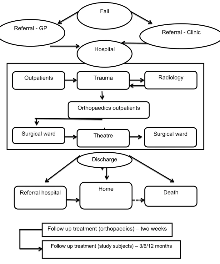Figure 3.2 Flow process for hip fracture subjects from time of fall to discharge Follow up treatment (orthopaedics) – two weeks  