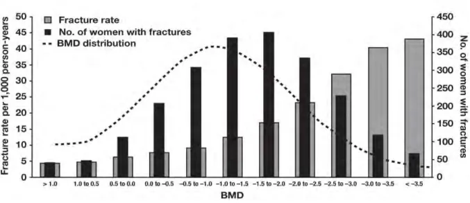 Figure  2.5  Relationship  between  bone  mineral  density  and  hip  fractures. 