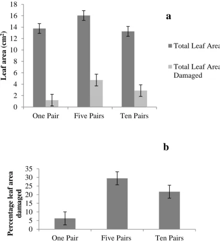 2.2a; F  (2: 8)  = 4.47, p = 0.065, Fig. 2.2b respectively). Percentage leaf area damaged was slightly  higher with five (28.5%) than with 10 pairs (22%) of adults and was lowest with one pair (6.5%)