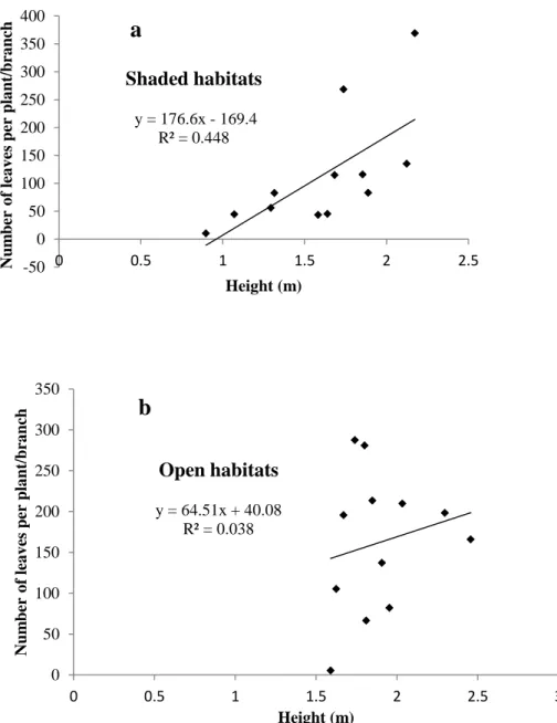 Fig. 3.3. Relationship between the number of leaves and plant/branch height in (a) the shaded  habitats (R 2  = 0.4488, p = 0.056) and (b) the open habitats (R 2  = 0.0389, p = 0.084)