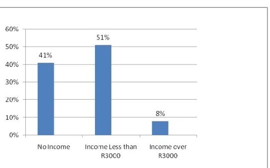 Figure 7.3:   Income Analysis 