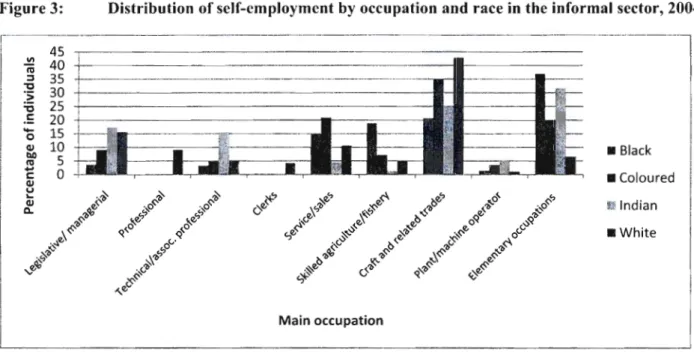Figure 3: Distribution of self-employment by occupation and race in the informal sector, 2004