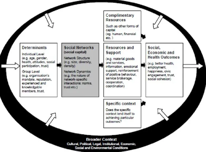 Figure 1: PRI framework for the analysis of social capital