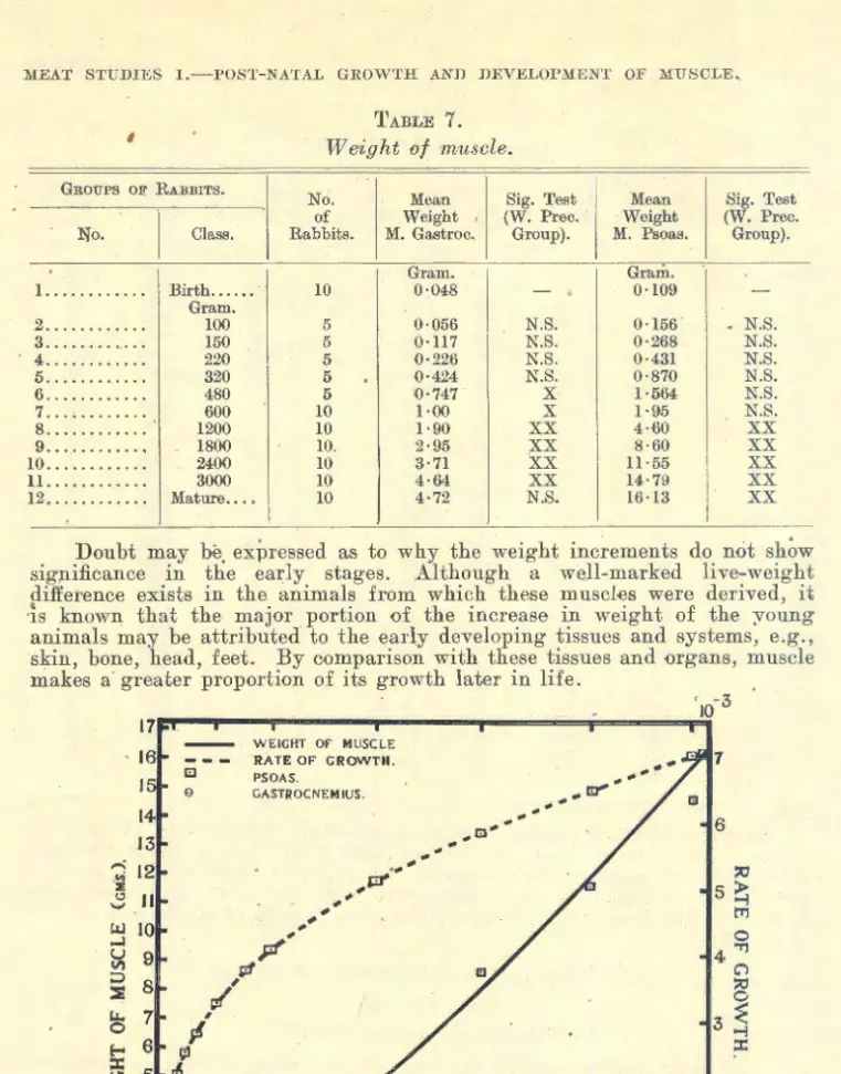 Fig.  6.-Weight of  muscle . 