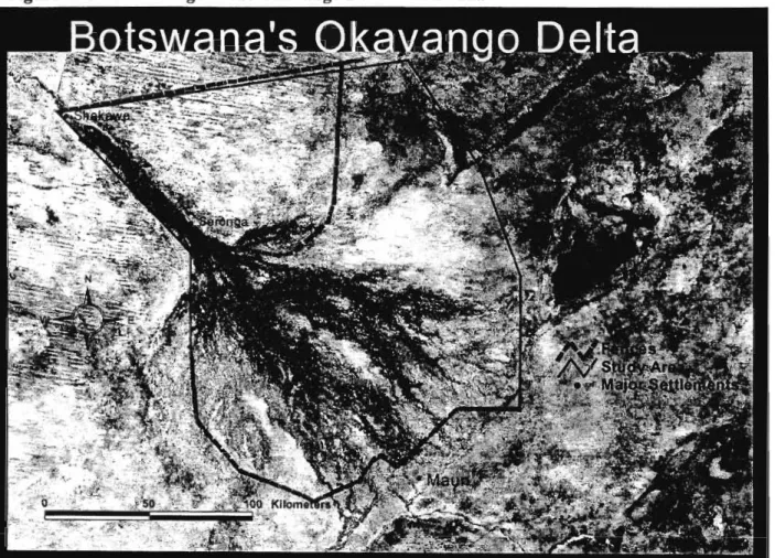 Figure 2: Satellite Image of the Okavango Delta - Botswana