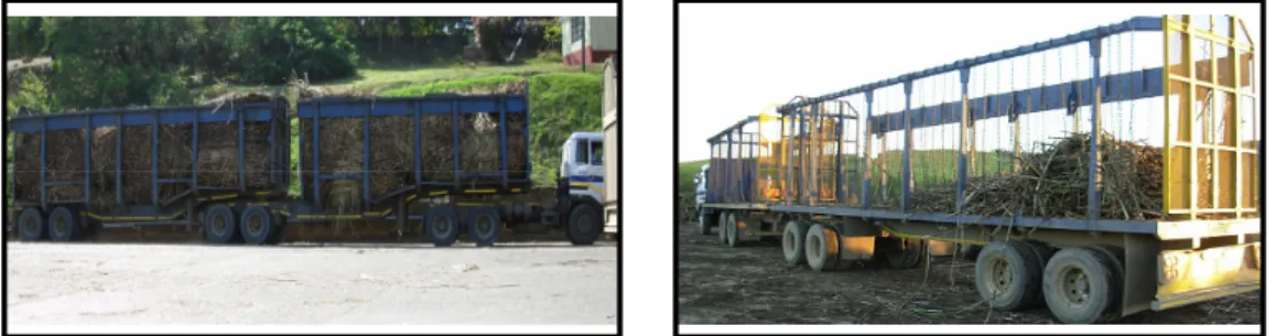 Figure 4.2 Unitrans Interlink                           Figure 4.3 Unitrans Rigid Drawbar 