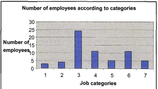 Figure 3.6: Number of employees according to categories. 
