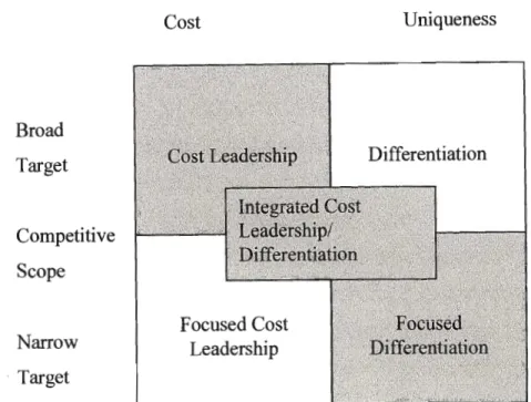 Figure 2.2:  Five Business Level Strategies 