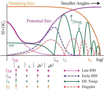 Figure 4.1: Different contributions to the CMB power spectrum. Source: Hu et al., arXiv:astro- arXiv:astro-ph/9604166v1 (1996).