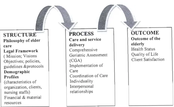 The conceptual framework - Residential care for the elderly in ...