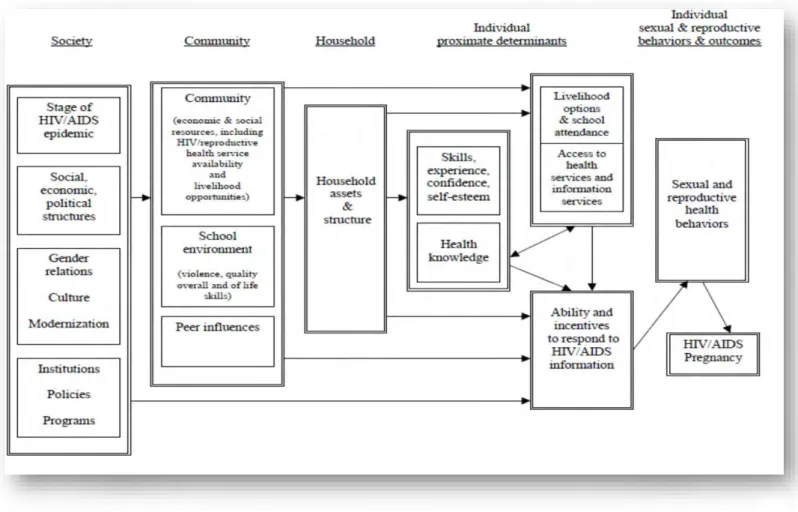 Figure 1.1: Hallman’s conceptual framework 