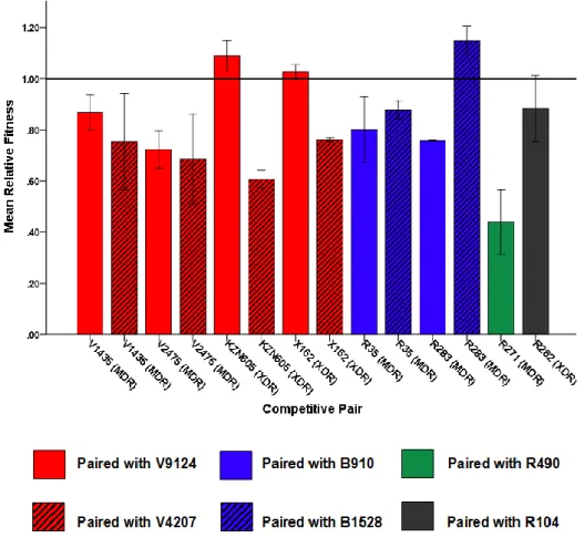 Figure 2.2 Mean competitive relative fitness for KZN, Beijing, F11 and F28 drug-resistant strains